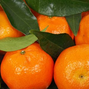 citrus, clementine, food-15779.jpg