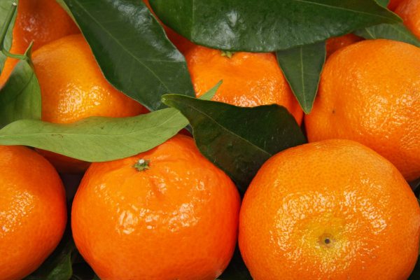 citrus, clementine, food-15779.jpg