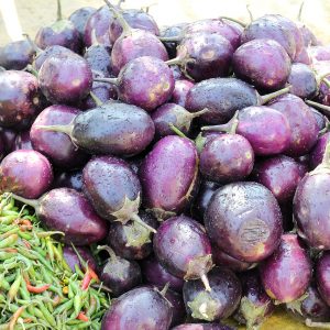 eggplant, indian, brinjal-829201.jpg